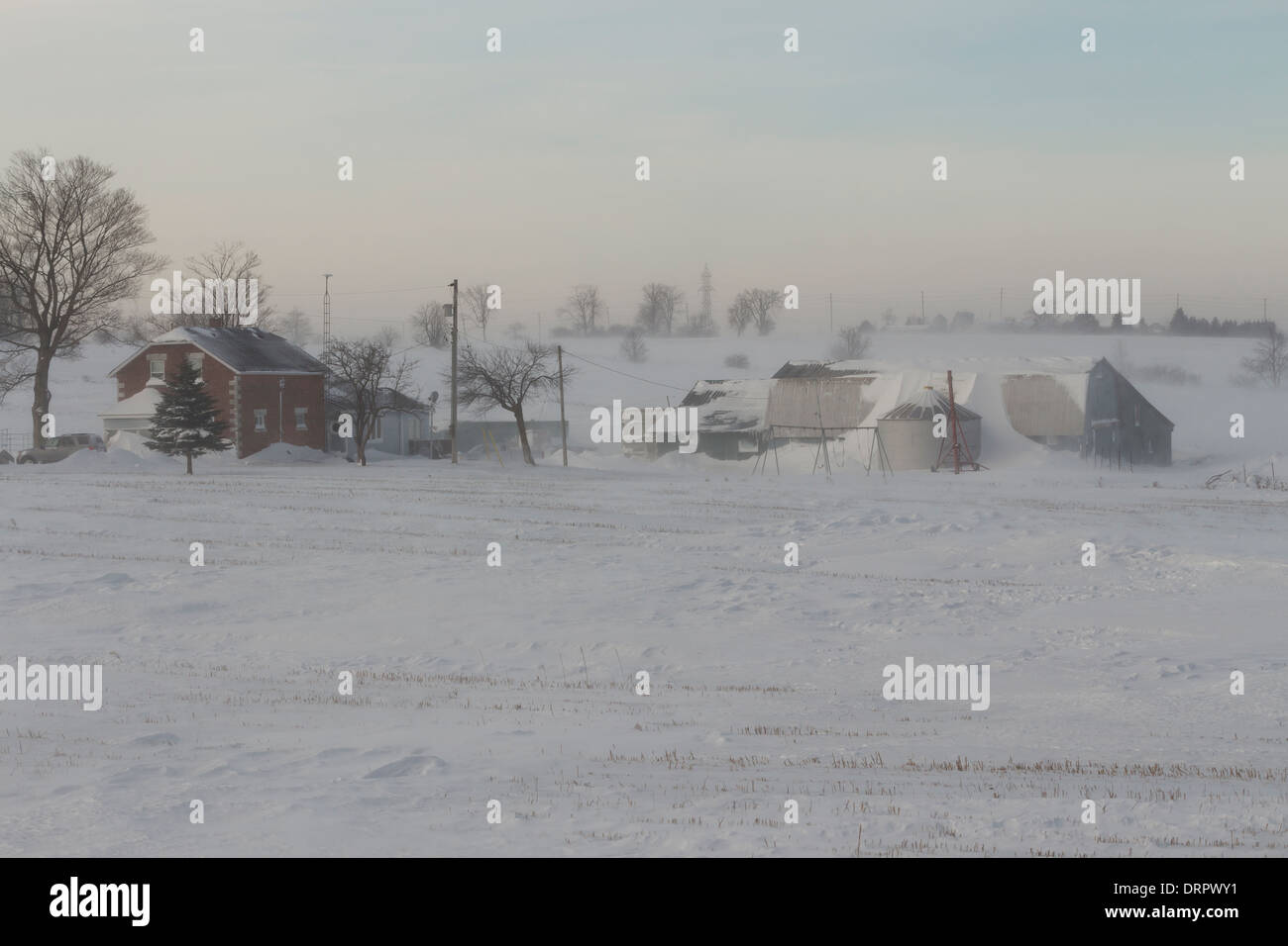 Wind whipped blown snow envelops a farm during a ground blizzard during extreme cold winter weather Stock Photo