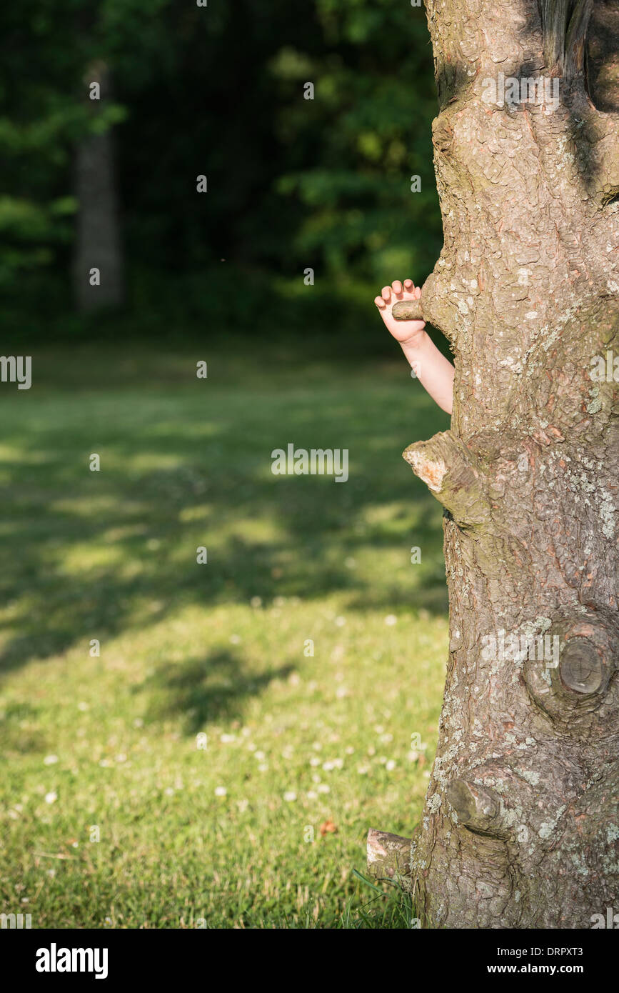 Hand of little girl reaching for a grip to climb up a tree Stock Photo