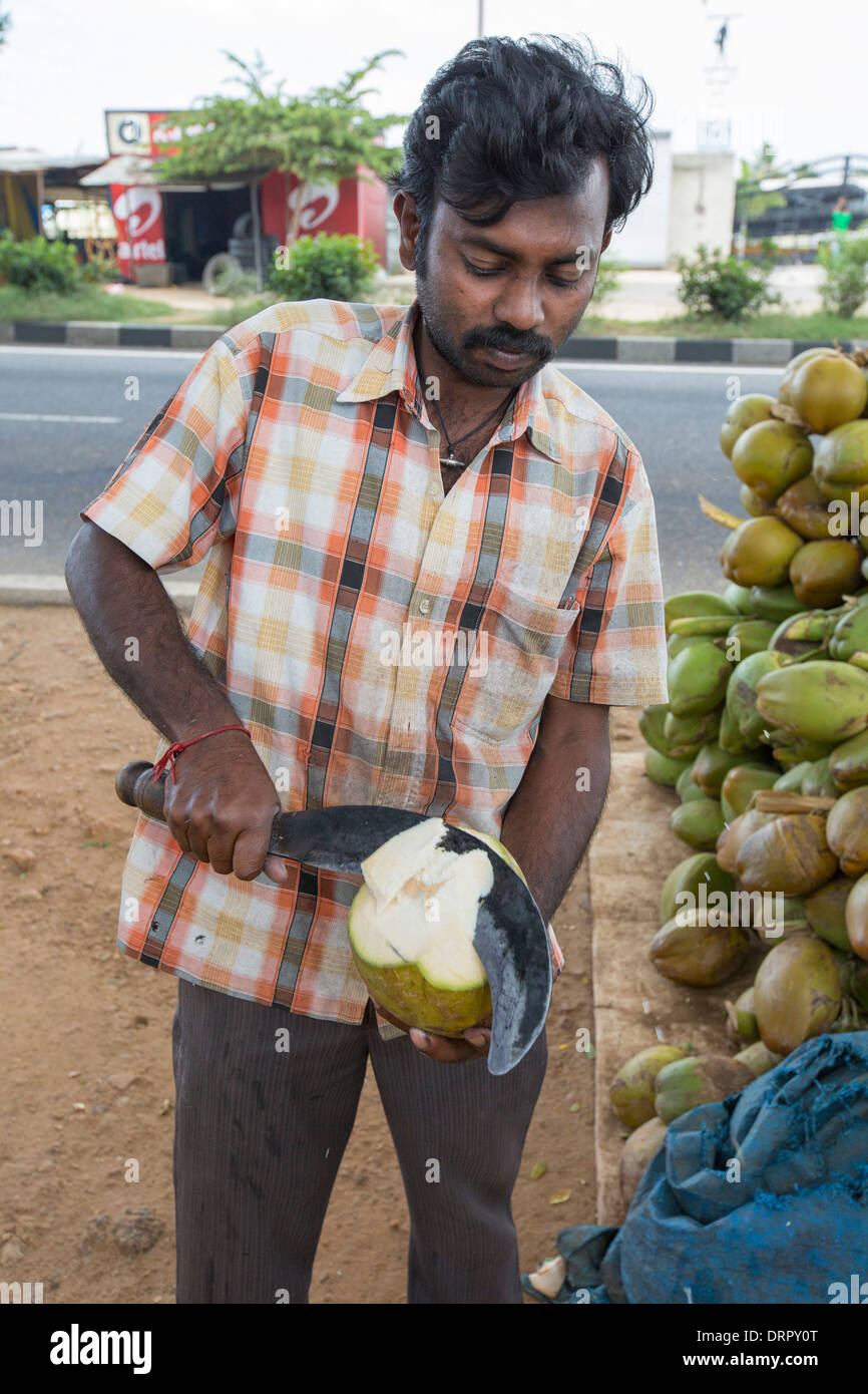 A roadside shop selling unripe coconuts, for coconut water near