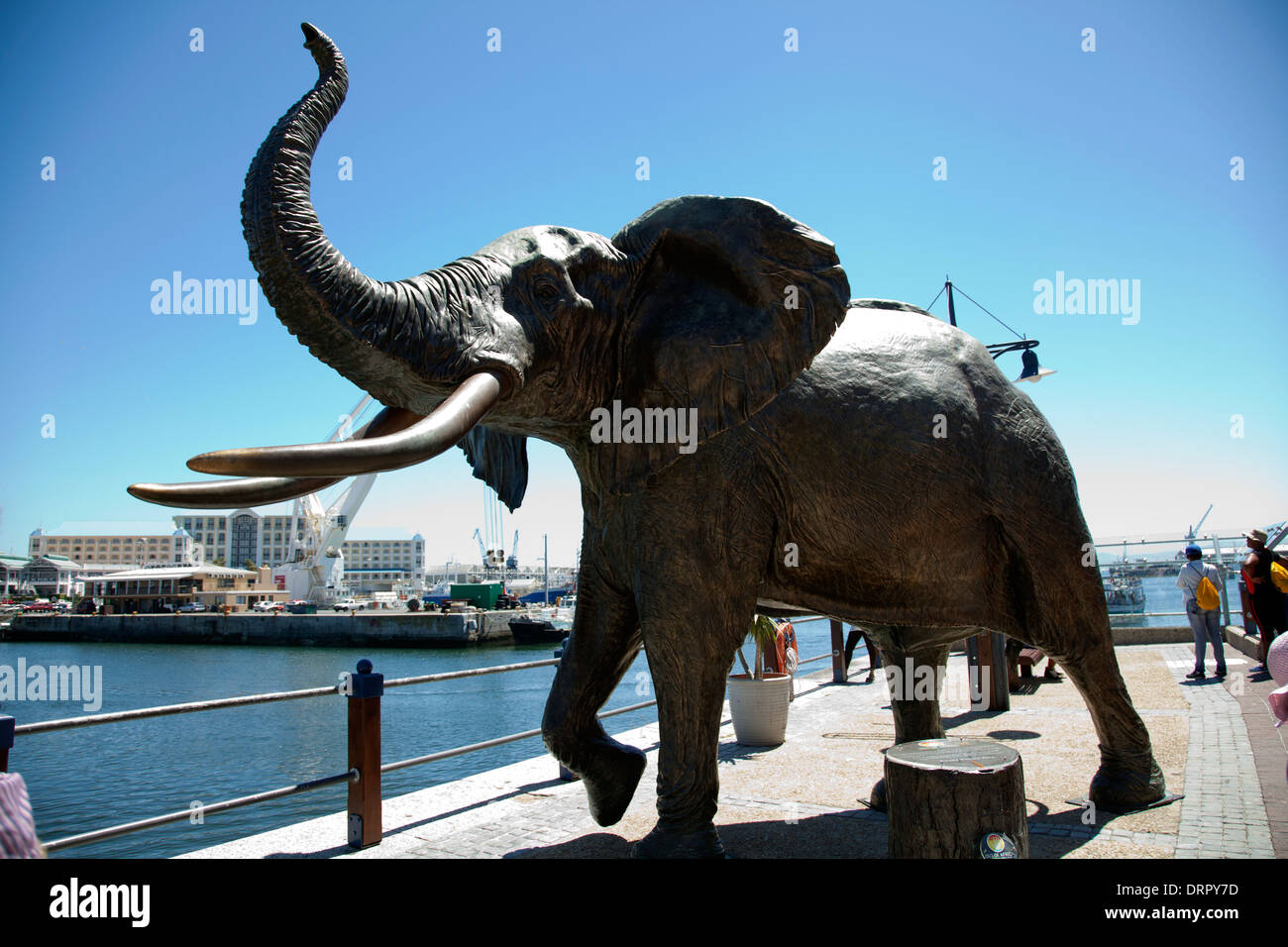 Large Elephant Sculpture for Out of Africa Childrens Foundation at V&A Waterfront in cape Town - South Africa Stock Photo