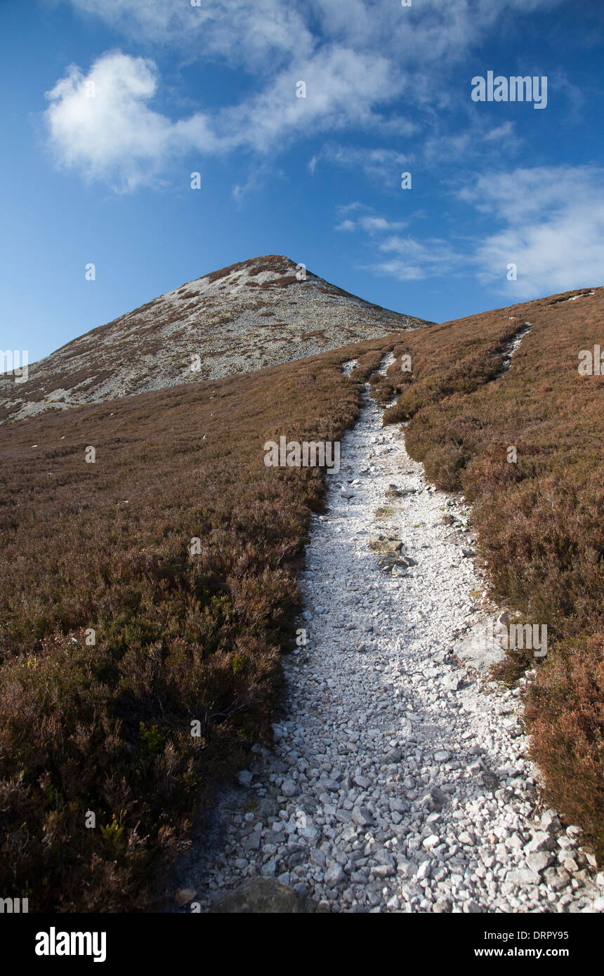 The path up the northern slopes of Great Sugar Loaf, Wicklow Mountains, County Wicklow, Ireland. Stock Photo