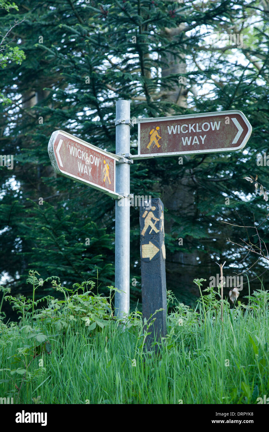 Signposts for the Wicklow Way near Oldbridge, Wicklow Mountains, County Wicklow, Ireland. Stock Photo