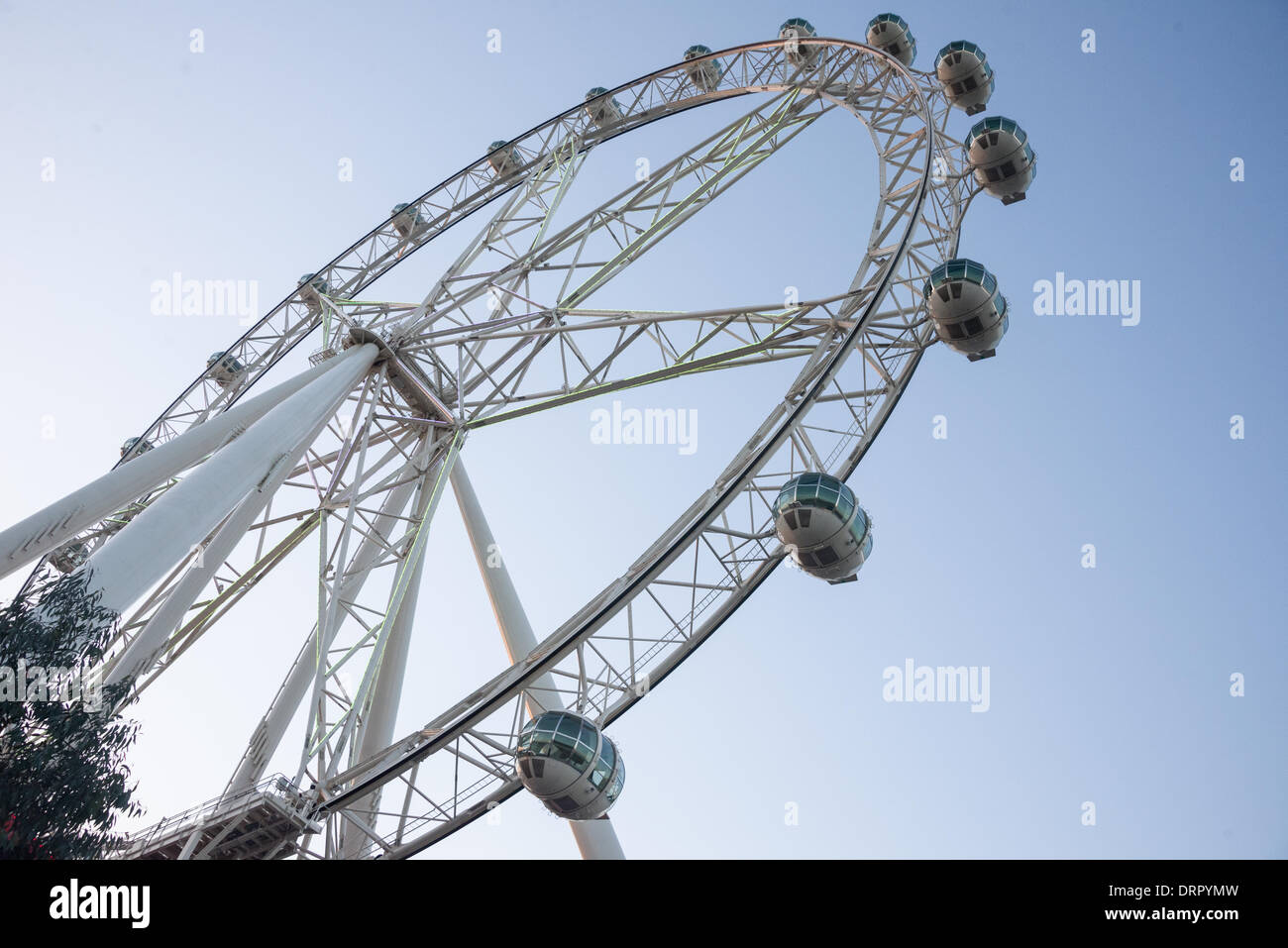 860+ The Melbourne Star Stock Photos, Pictures & Royalty-Free Images -  iStock