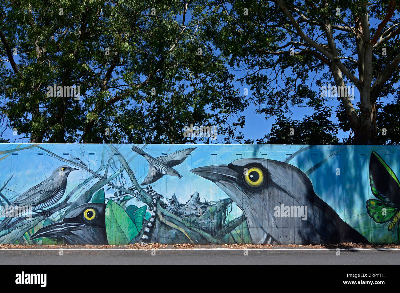 animal and bird mural on concrete flood protection wall in murwillumbah, northern new south wales Stock Photo