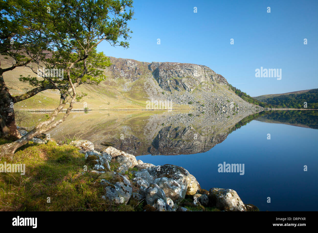 The cliffs of Luggala reflected in Lough Tay, Wicklow Mountains, County Wicklow, Ireland. Stock Photo