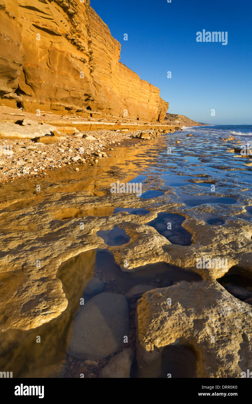 Exposed ledges and rockpools at Hive Beach, Burton Bradstock on the Jurassic Coast, Dorset, England. Stock Photo