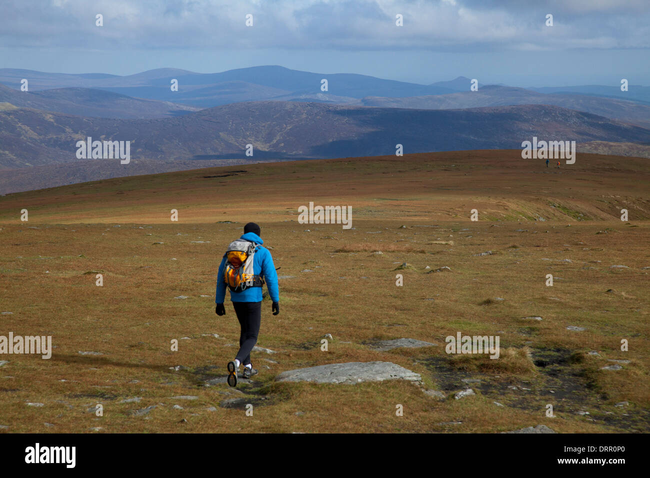 Mountain walker descending towards Cloghernagh from Lugnaquilla, Wicklow Mountains, County Wicklow, Ireland. Stock Photo