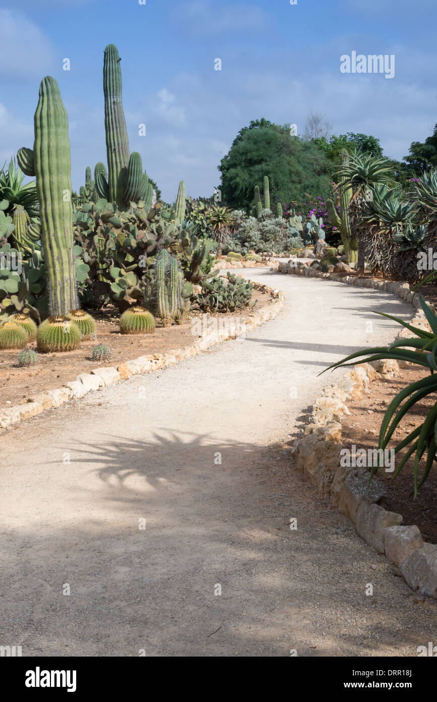 Curved gravel path in Botanicactus garden, Mallorca, Balearic islands, Spain. Stock Photo