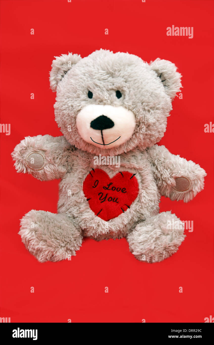 Valentines Day teddy bear with a heart saying 'I love you' Stock Photo