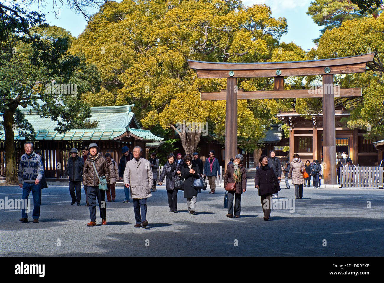 Torii Gate, Meiji Shrine, Tokyo, Japan Stock Photo