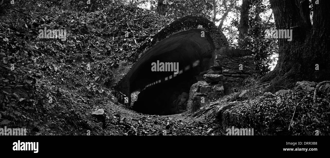 Cadorna line, Italy. First World War fortifications. Embrasures Entry Stock Photo