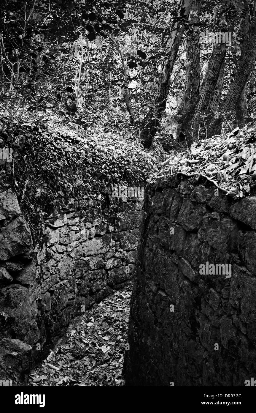 Cadorna line, Italy. First World War fortifications. Embrasures Entry Stock Photo