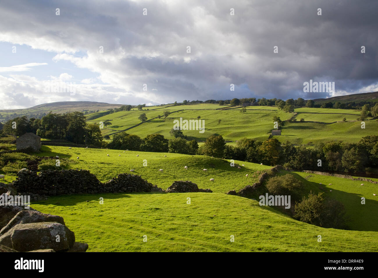 Yorkshire Dales River Swale Swaledale with storm clouds Stock Photo