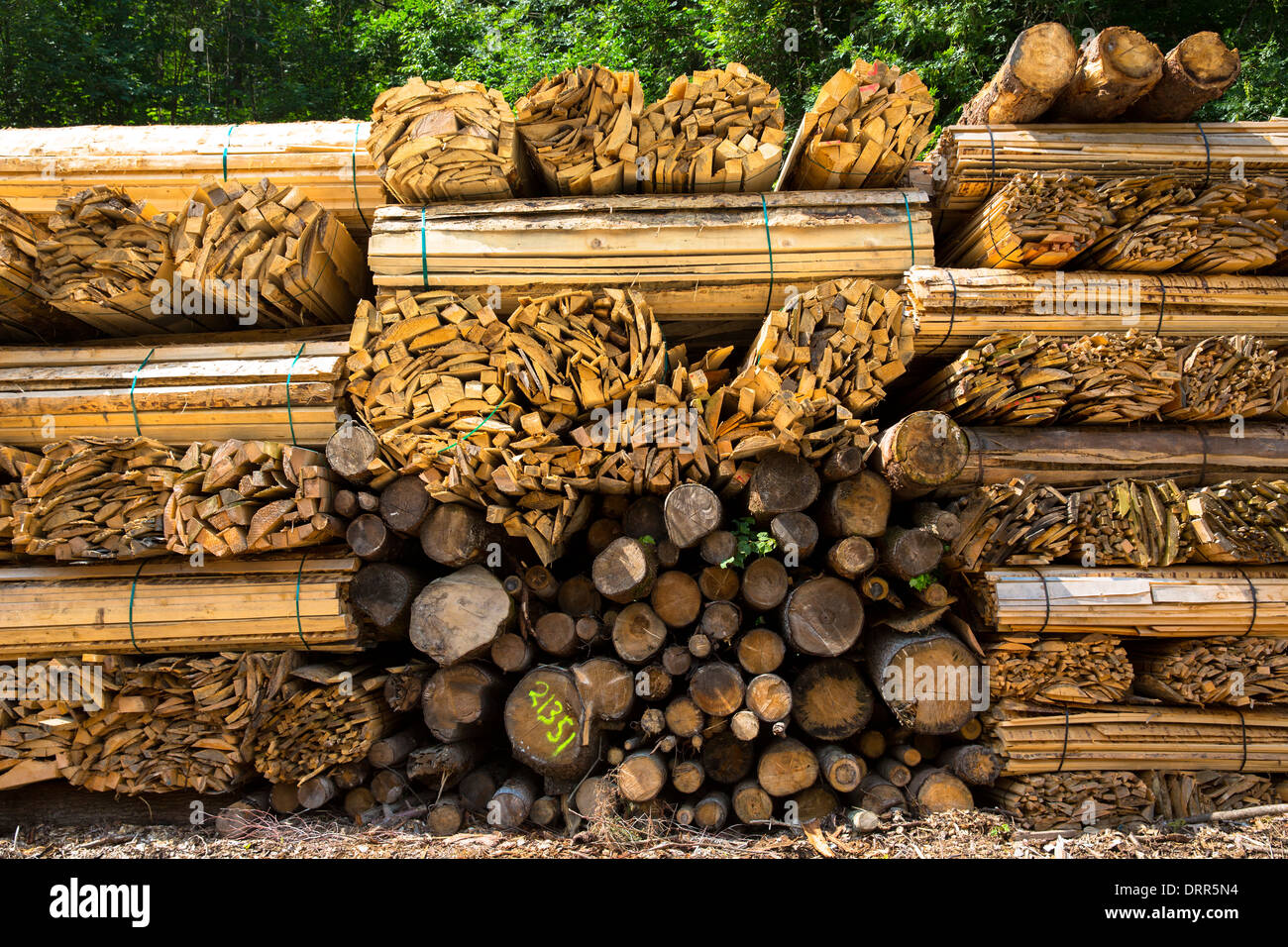 Timber planks and logs stacked to become seasoned wood at Interlaken in the Bernese Oberland, Switzerland Stock Photo