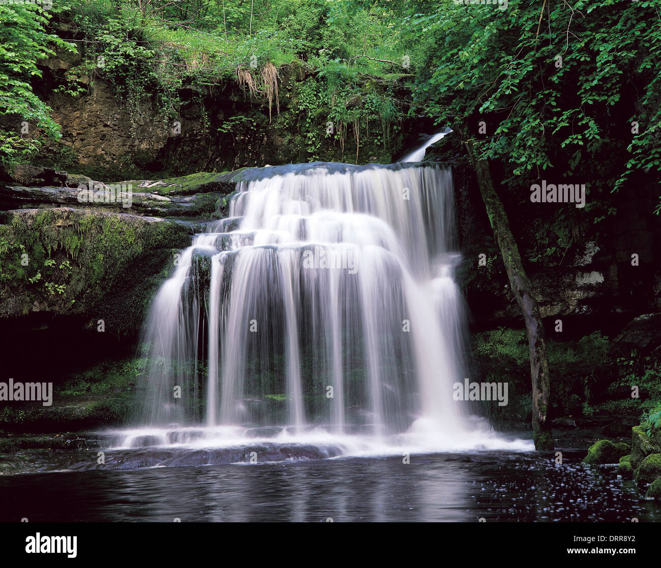 Cauldron Falls, West Burton, North Yorkshire Stock Photo