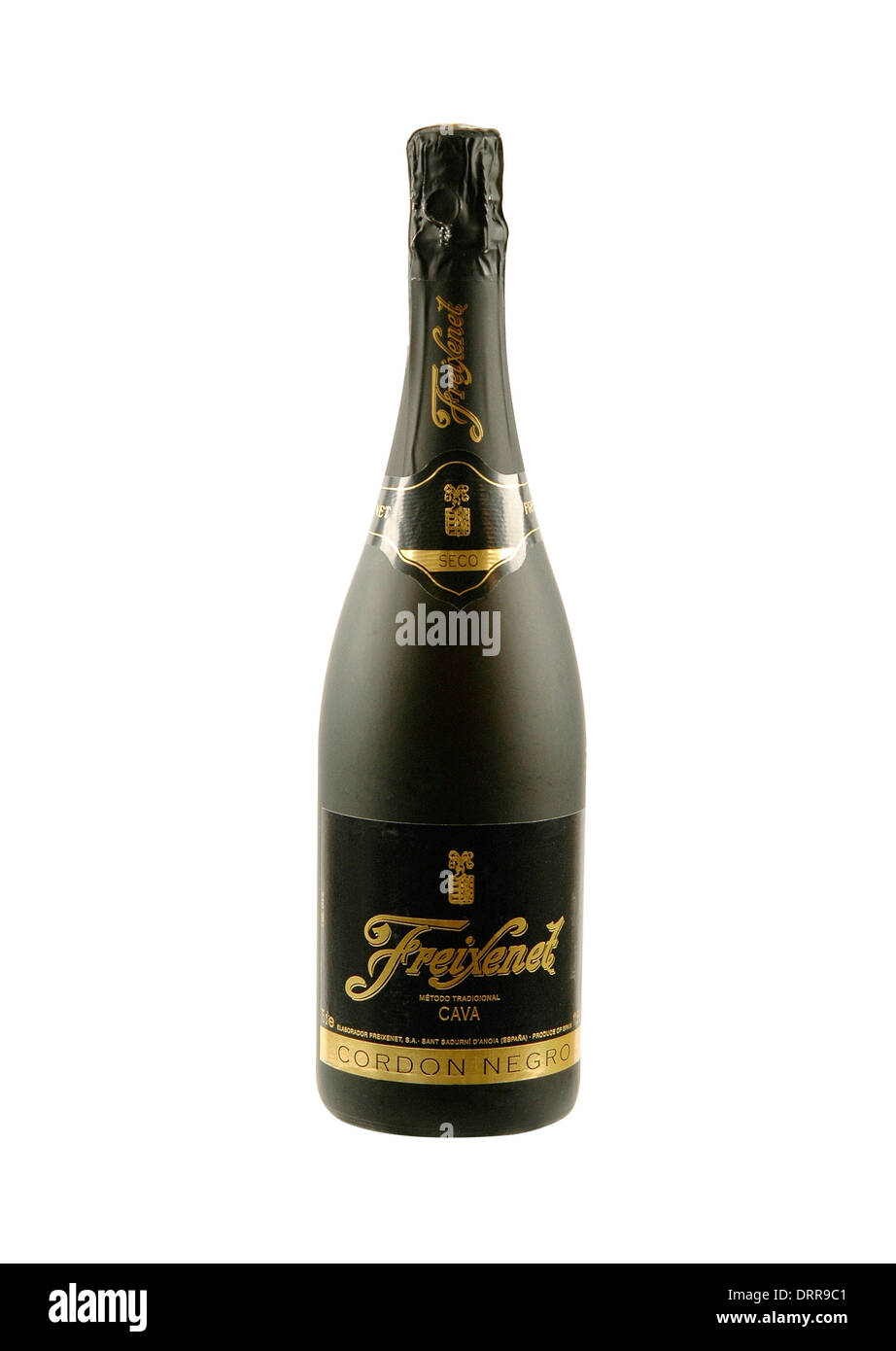 Freixenet Cava sparkling wine bottle Stock Photo