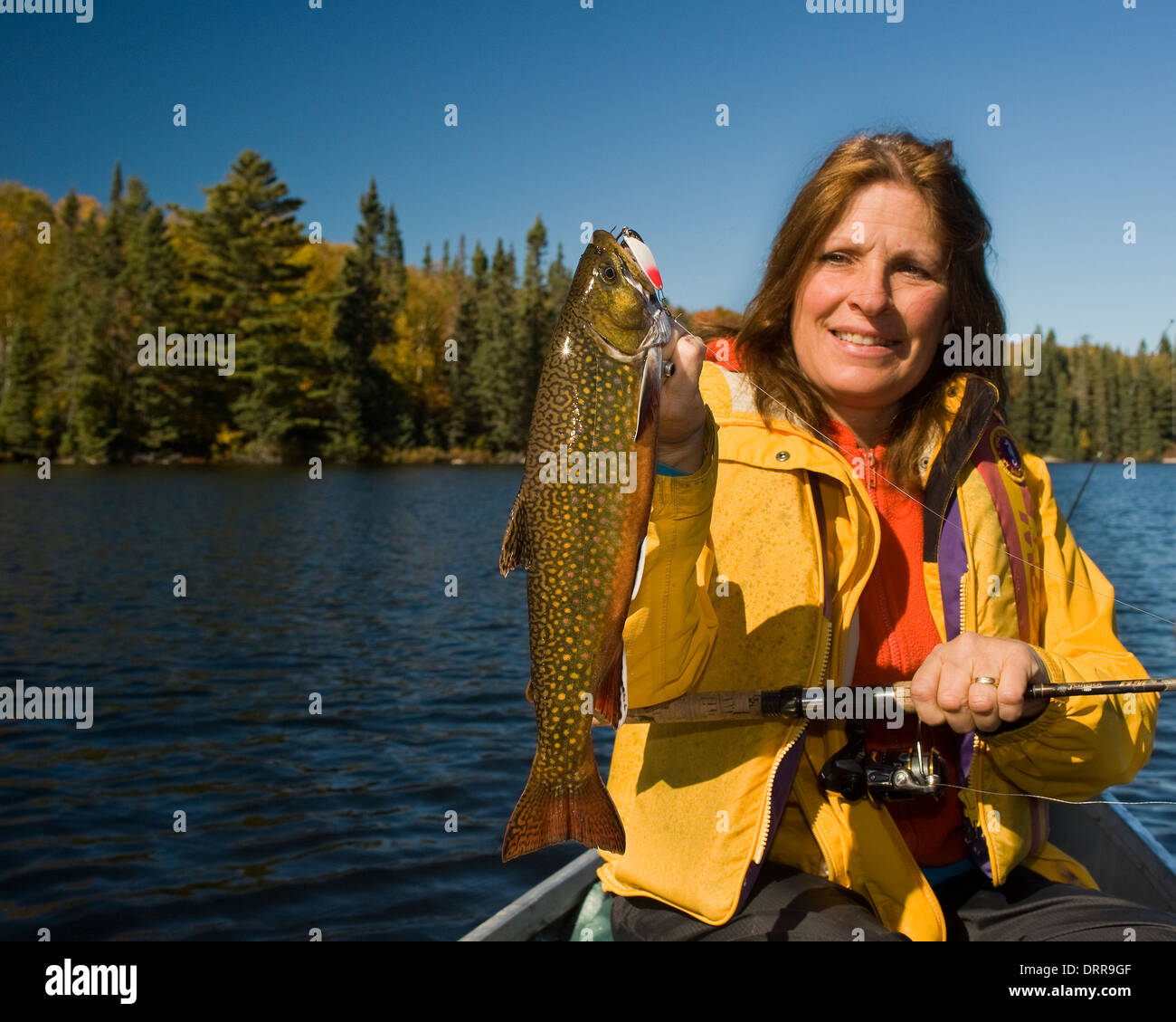 Woman angler holding a summer brook trout she caught in a lake in