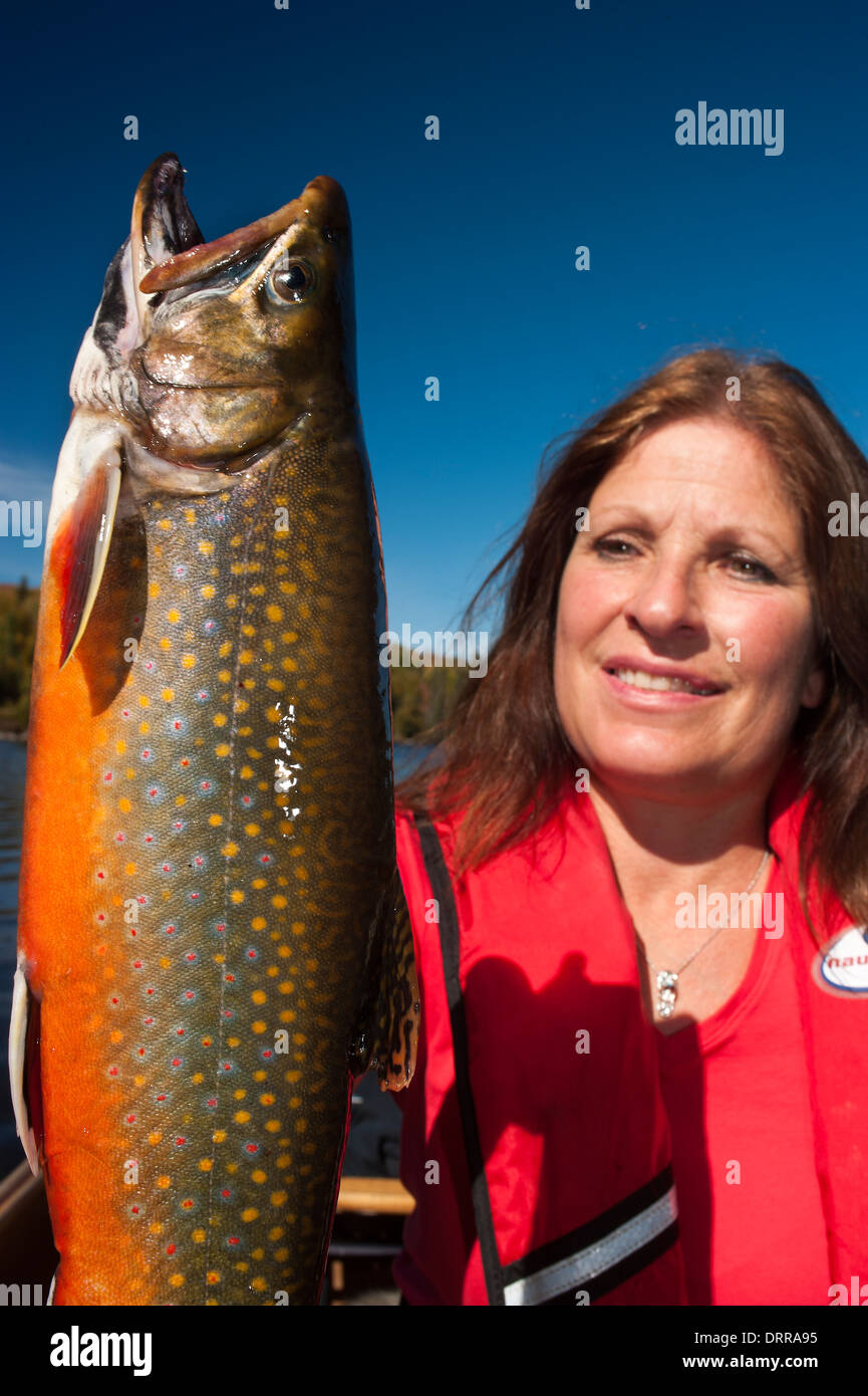 Woman angler holding a summer brook trout she caught in a lake in