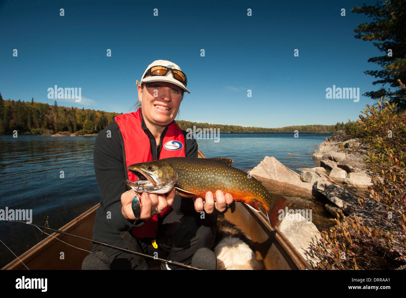 Woman angler holding a summer brook trout she caught in a lake in Northern Ontario. Stock Photo