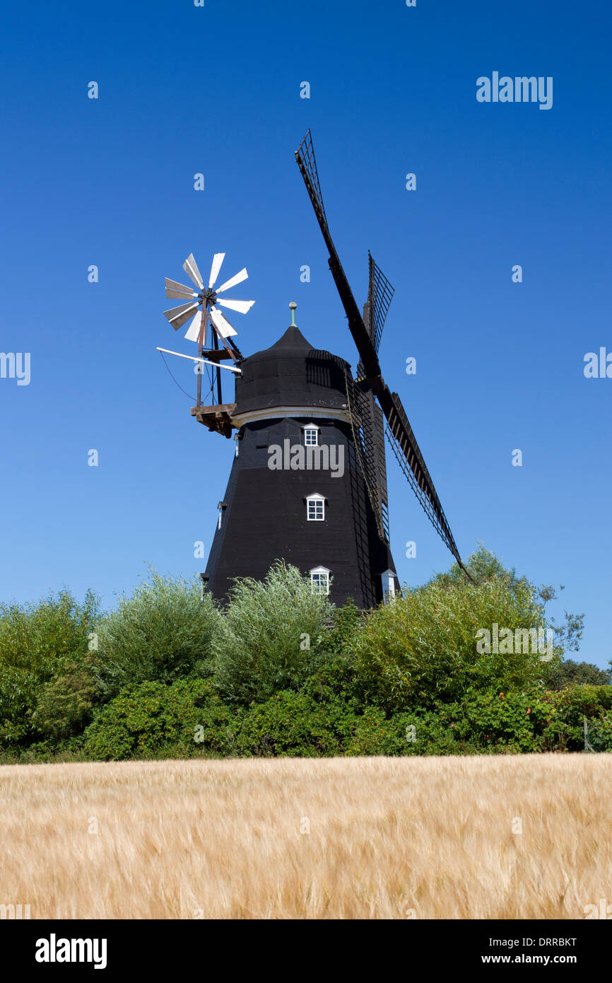 The old windmill Övraby mölla at Oevraby, Skåne / Scania, Sweden, Scandinavia Stock Photo