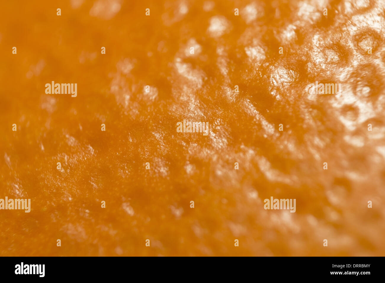 Closeup of an orange Stock Photo