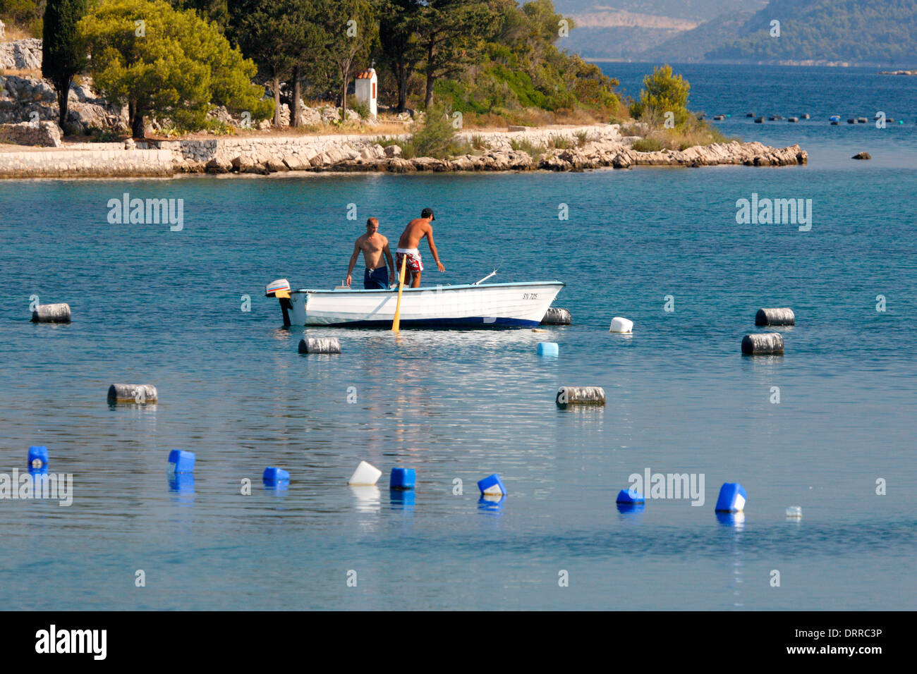 Mussels farming (oyster farm) on Peninsula Peljesac in Croatia Stock
