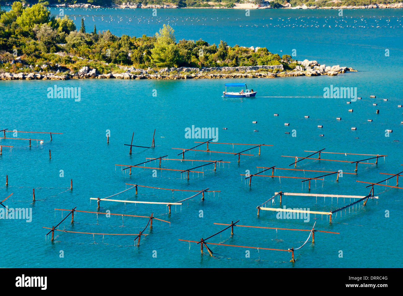 Mussels farming (oyster farm) on Peninsula Peljesac in Croatia Stock Photo Alamy