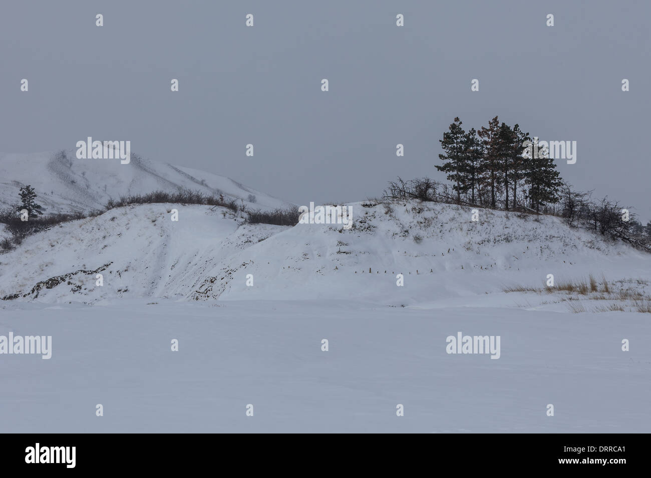 Winter landscape in forest field hi-res stock photography and images ...