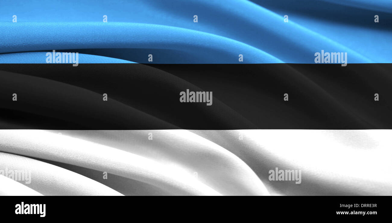 Flag of Estonia waving in the wind Stock Photo - Alamy