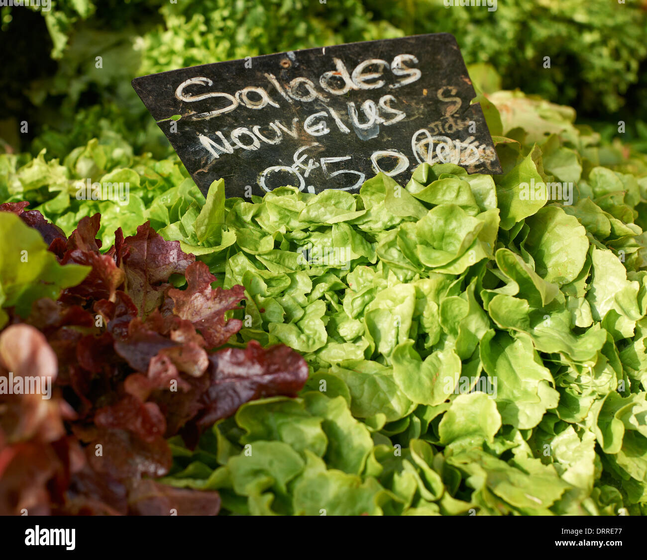 Fresh salad vegetables for sale on Provence market of Marseille, South France Stock Photo