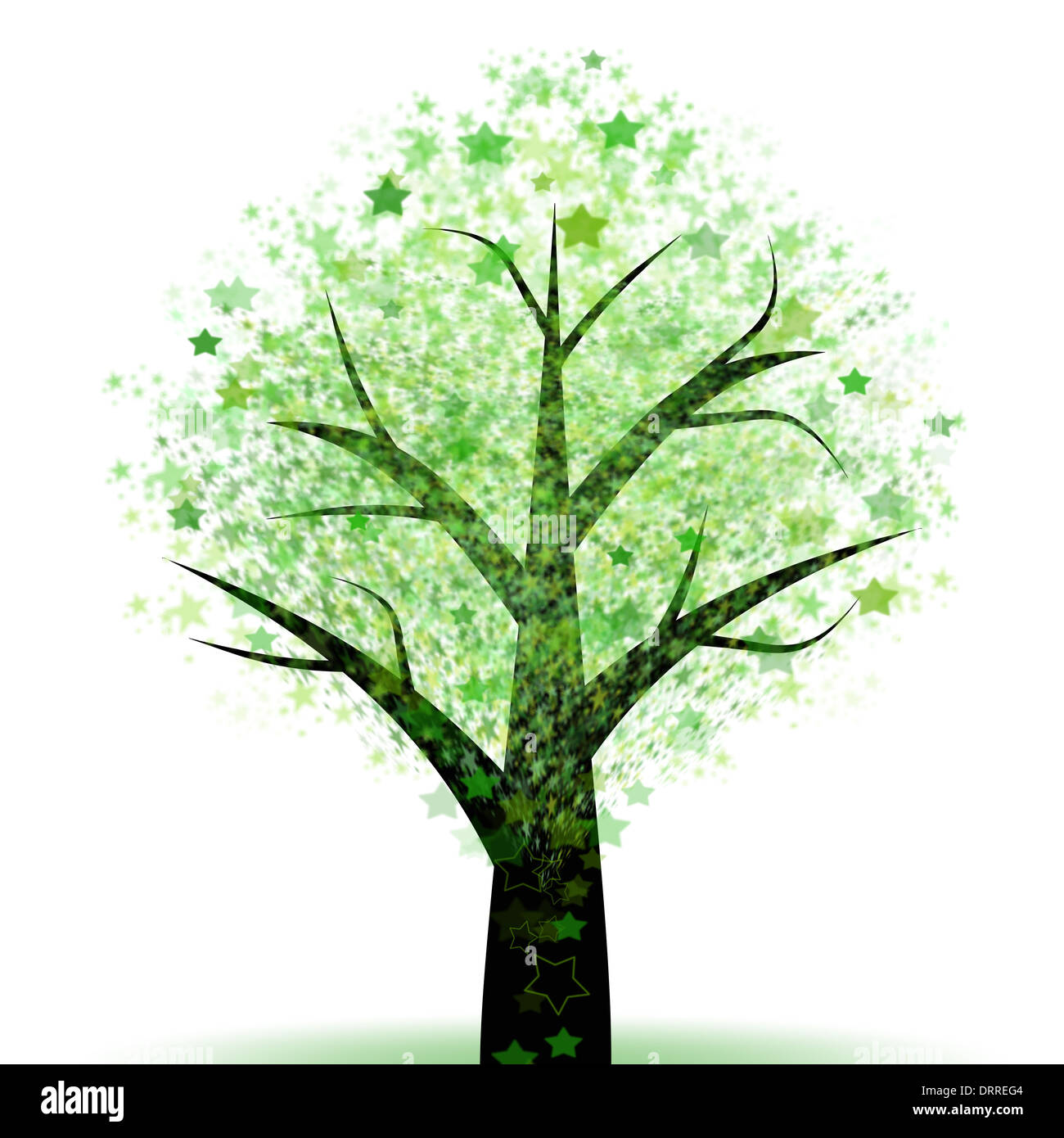 Gree branch of tree hi-res stock photography and images - Alamy