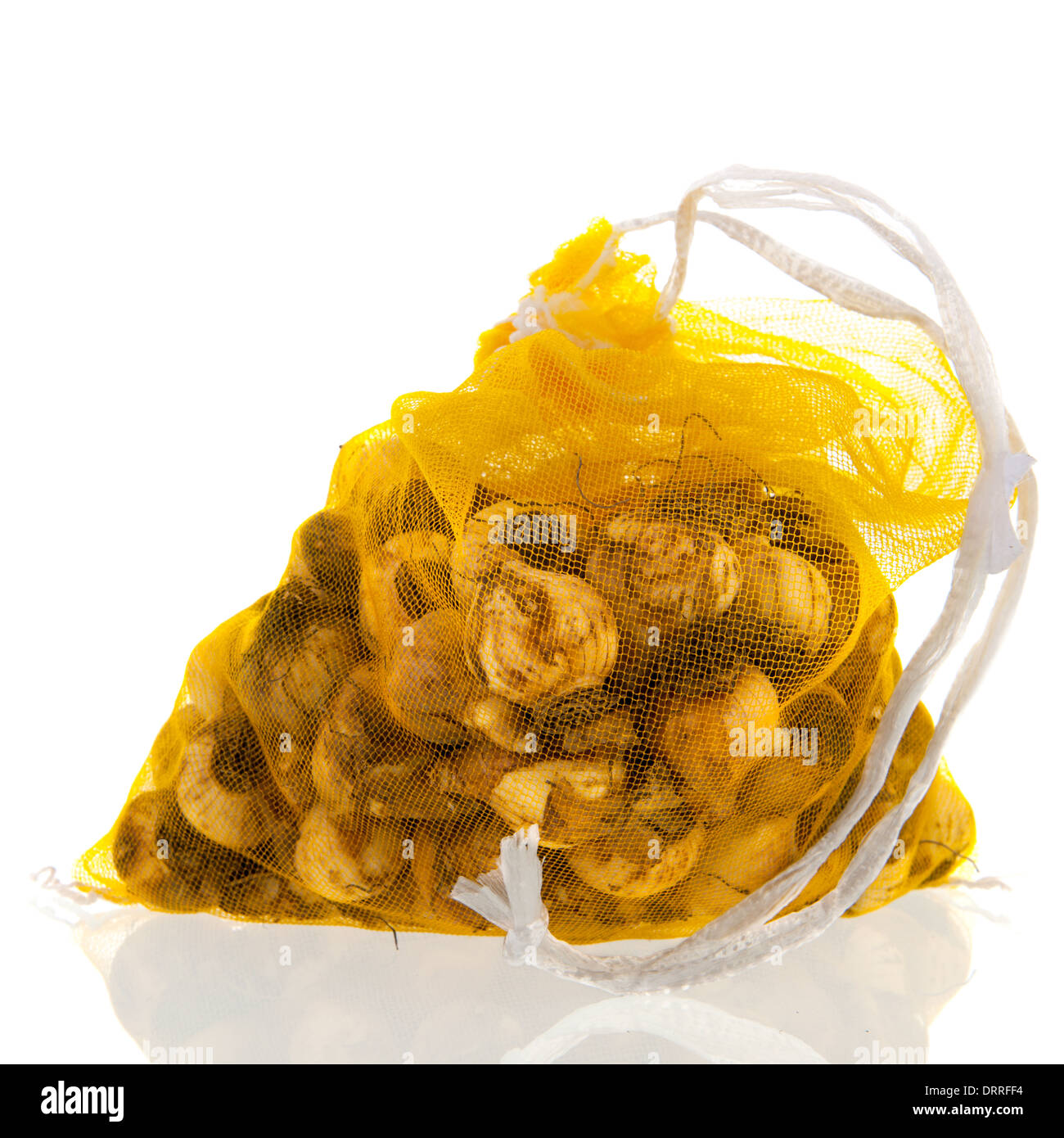 Flower bulbs in bag isolated over white background Stock Photo