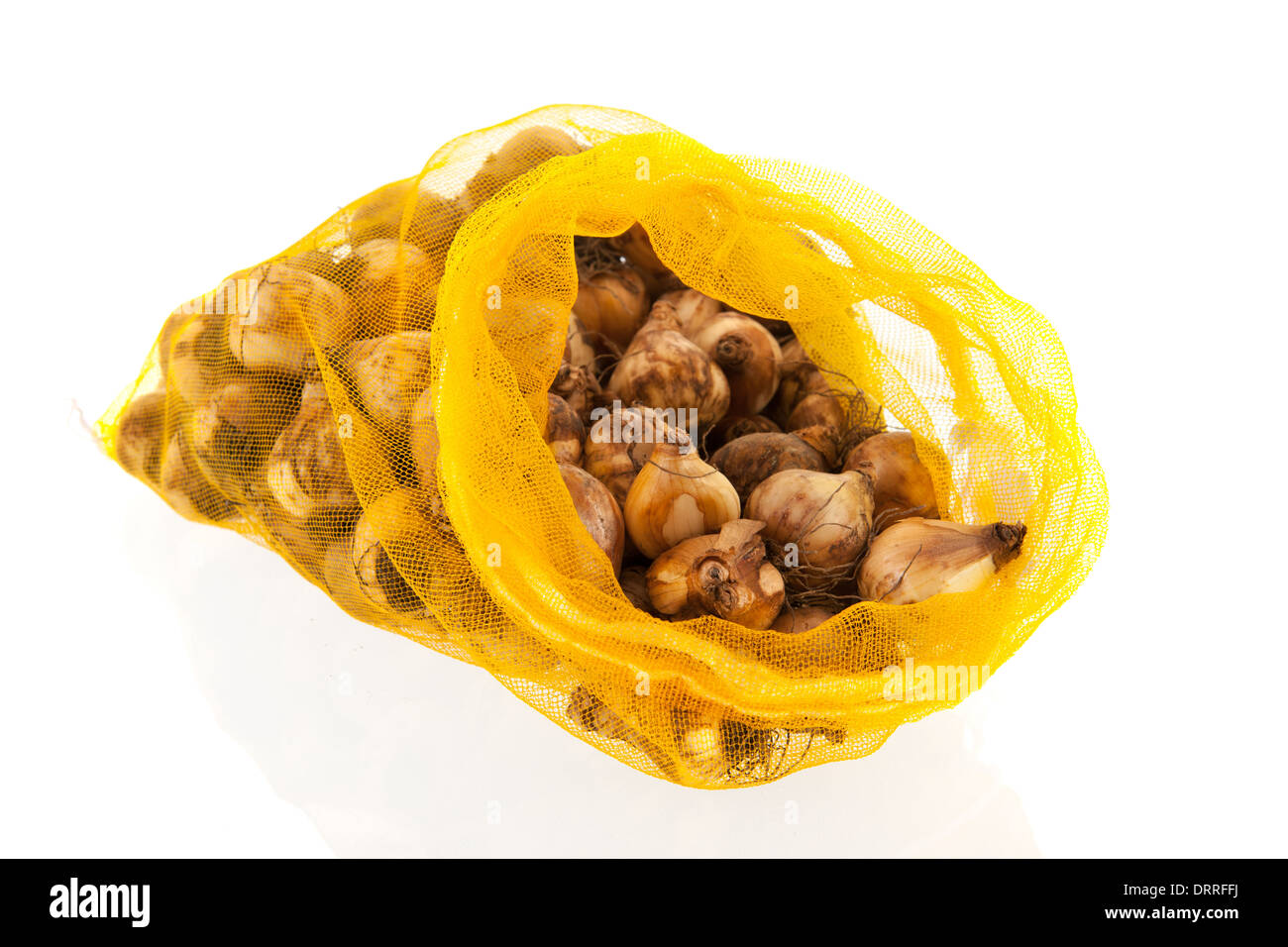 Flower bulbs in bag isolated over white background Stock Photo