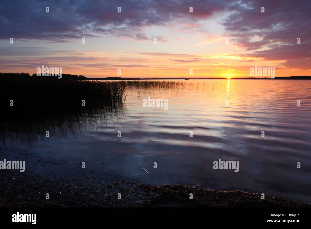 Lake Saadjärv at the sunset. Estonia, Europe Stock Photo Alamy