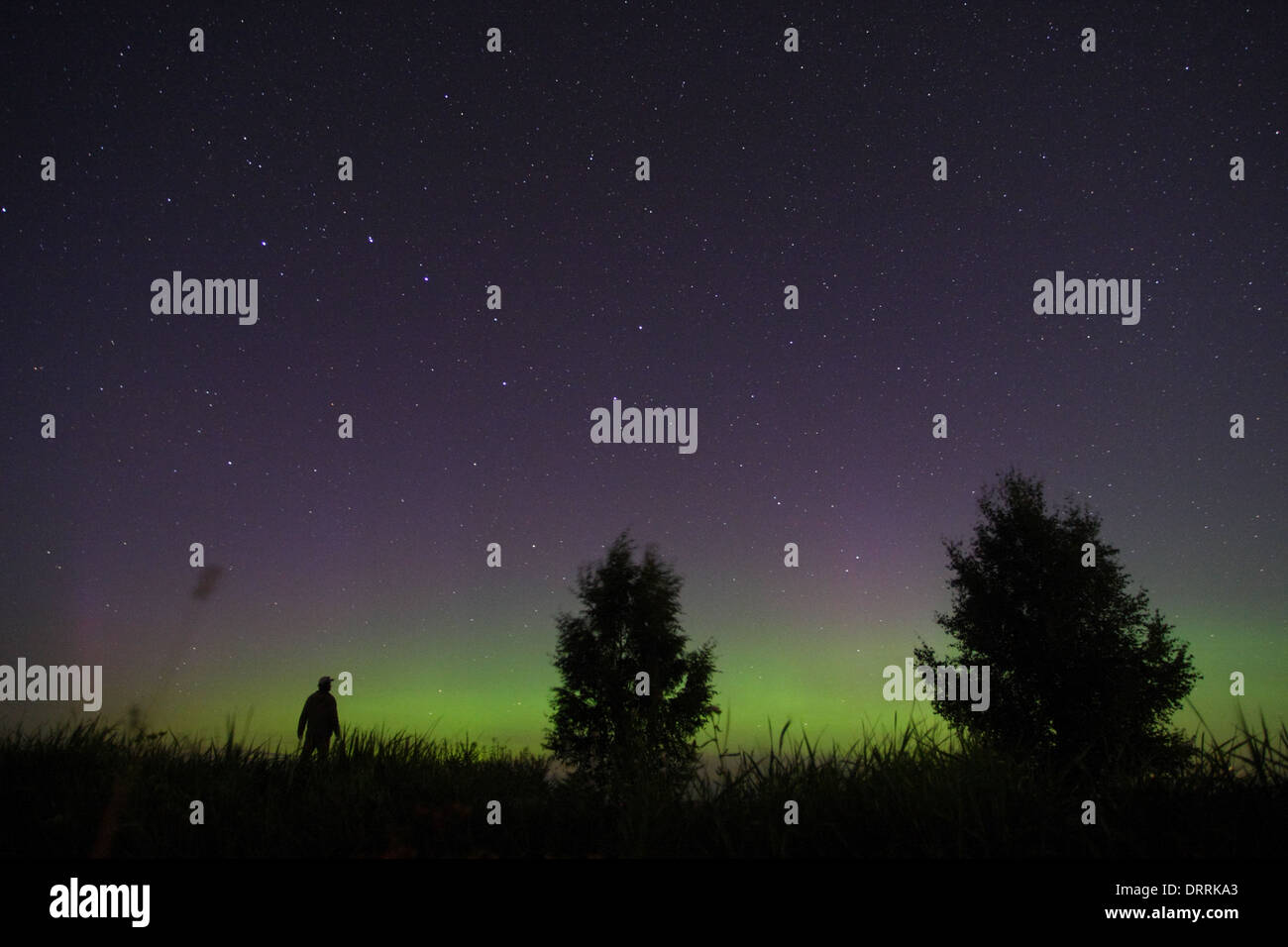 A man watching Northern lights (Aurora Borealis). Europe, Estonia Stock Photo