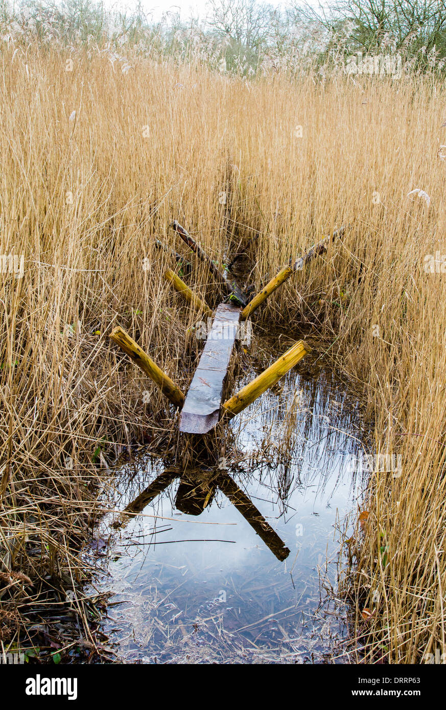 Reconstruction of the Sweet Track an ingenious method of crossing the Somerset levels during the Bronze Age - Shapwick Heath UK Stock Photo