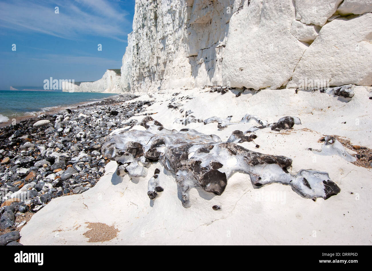 Flint nodules embedded in Chalk rocks under the cliffs of Seven Sisters in the South Downs National Park East Sussex UK Stock Photo