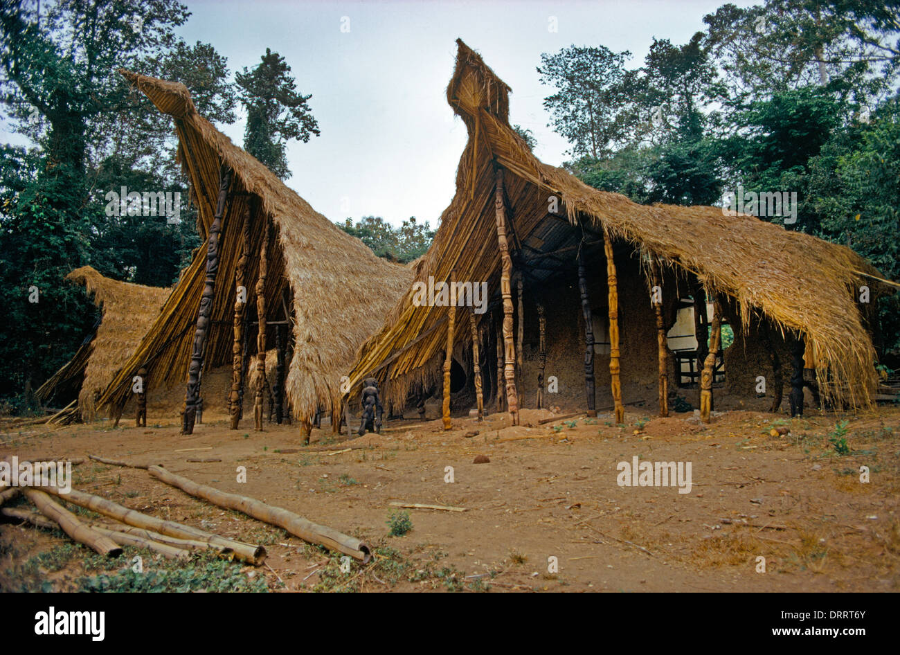 Osogbo Nigeria Osun-Osogbo Sacred Grove Regarded As The Goddess Osun ...