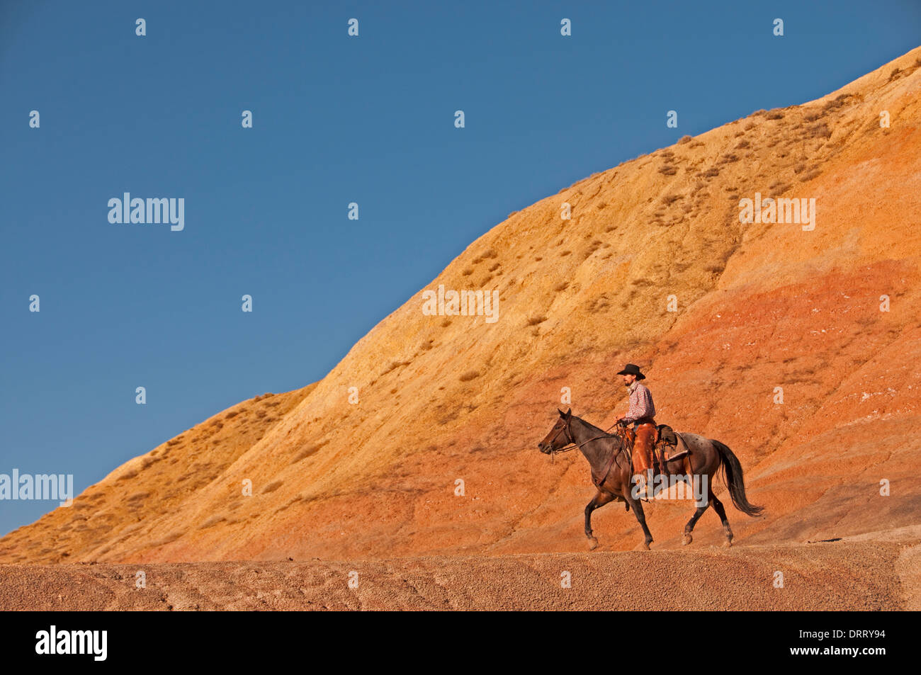 Working Cowgirls Stock Photos &amp; Working Cowgirls Stock ...