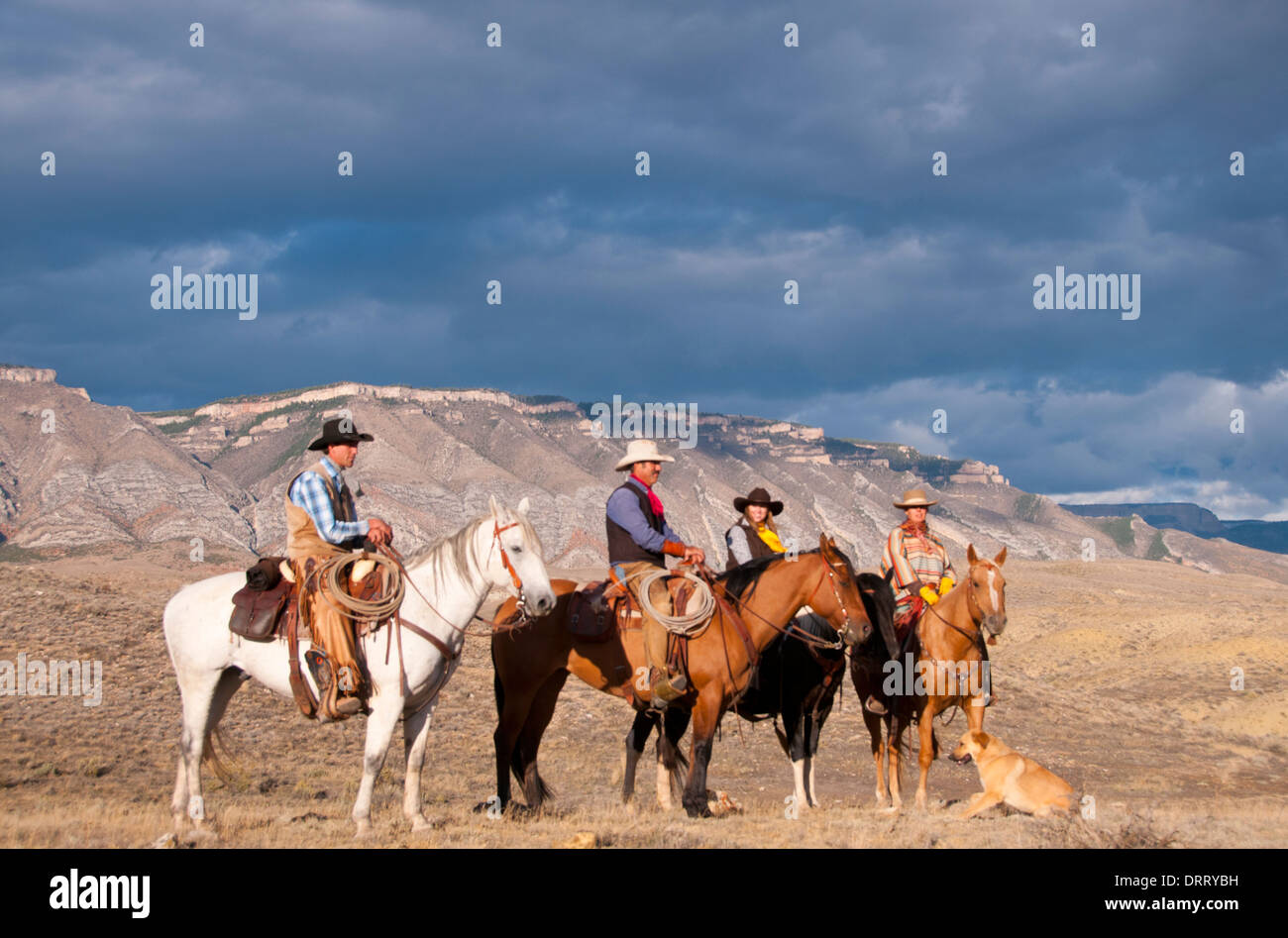 Four wranglers -- cowboys and cowgirls -- on horseback gather after round-up in the Bighorn Mountains of Wyoming Stock Photo