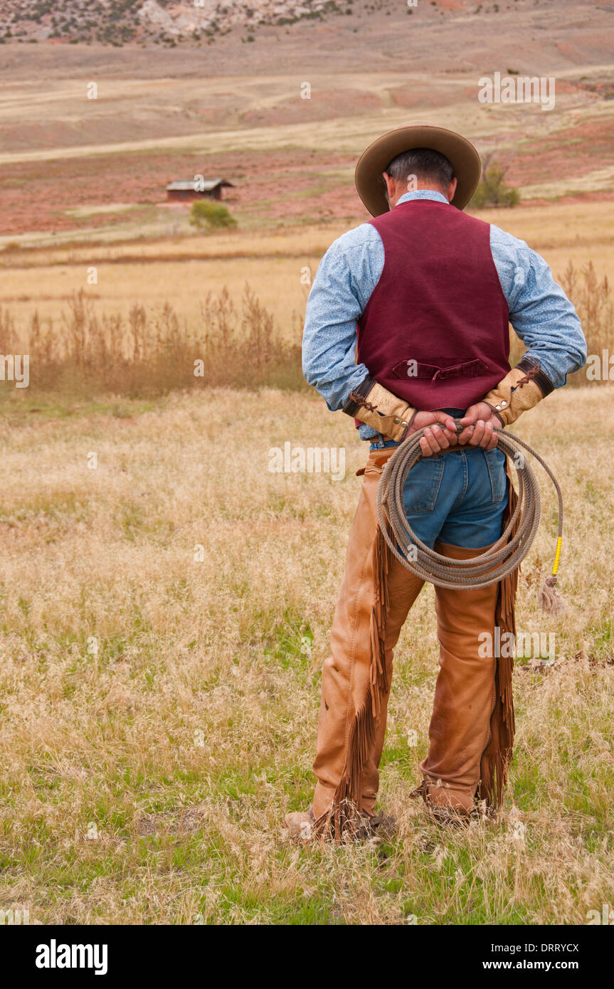 Cowboy holds lariat  to use in upcoming horse roundup in the Bighorn Mountains of Wyoming. Stock Photo