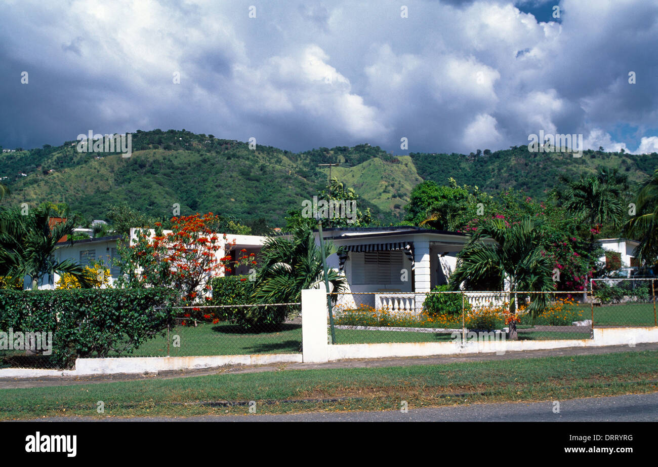 Kingston Jamaica Villa At Mona Heights Stock Photo Alamy