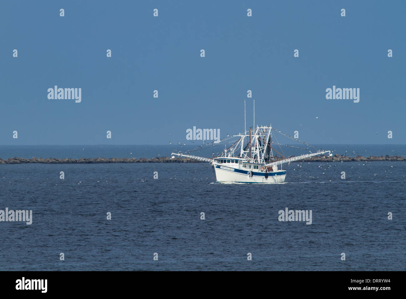 Shrimp boat returning from a day of shrimping in Fernandina Beach, Florida. Stock Photo