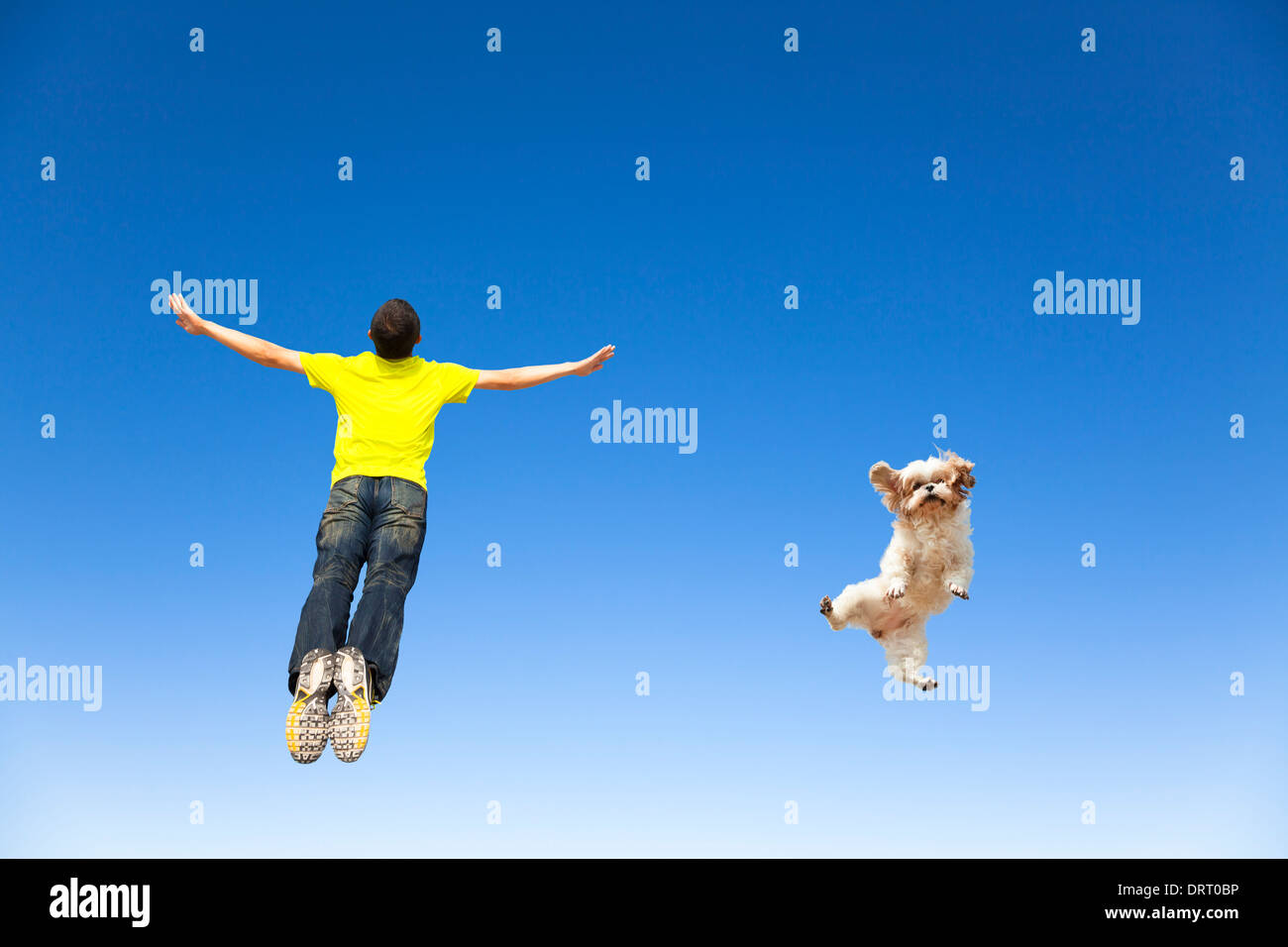 relaxing young man and dog jumping in the sky Stock Photo Alamy