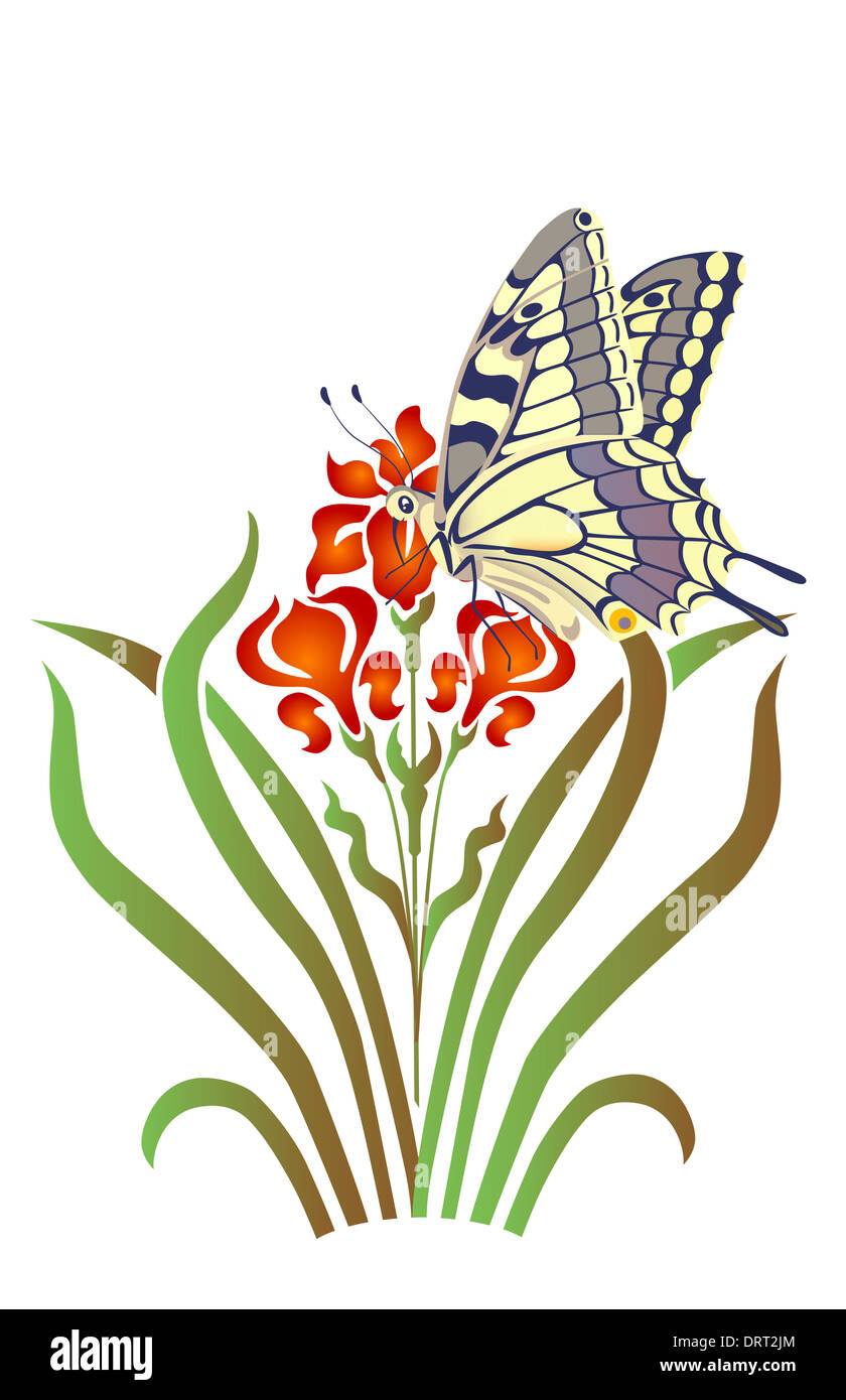 iris and butterfly over white background Stock Photo - Alamy
