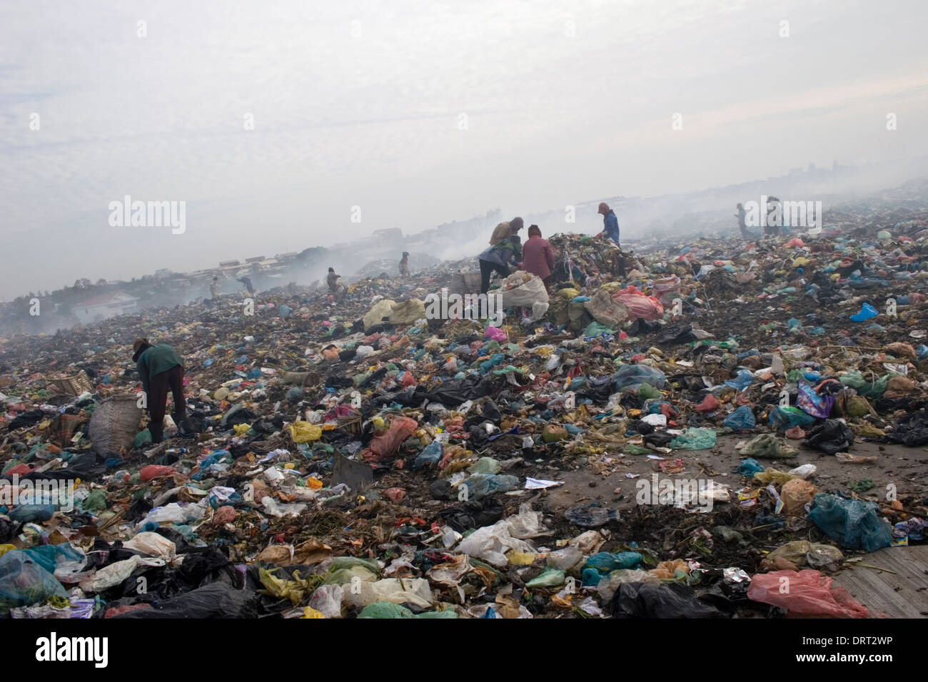 Wet plastic and rotting garbage provides the work environment at the