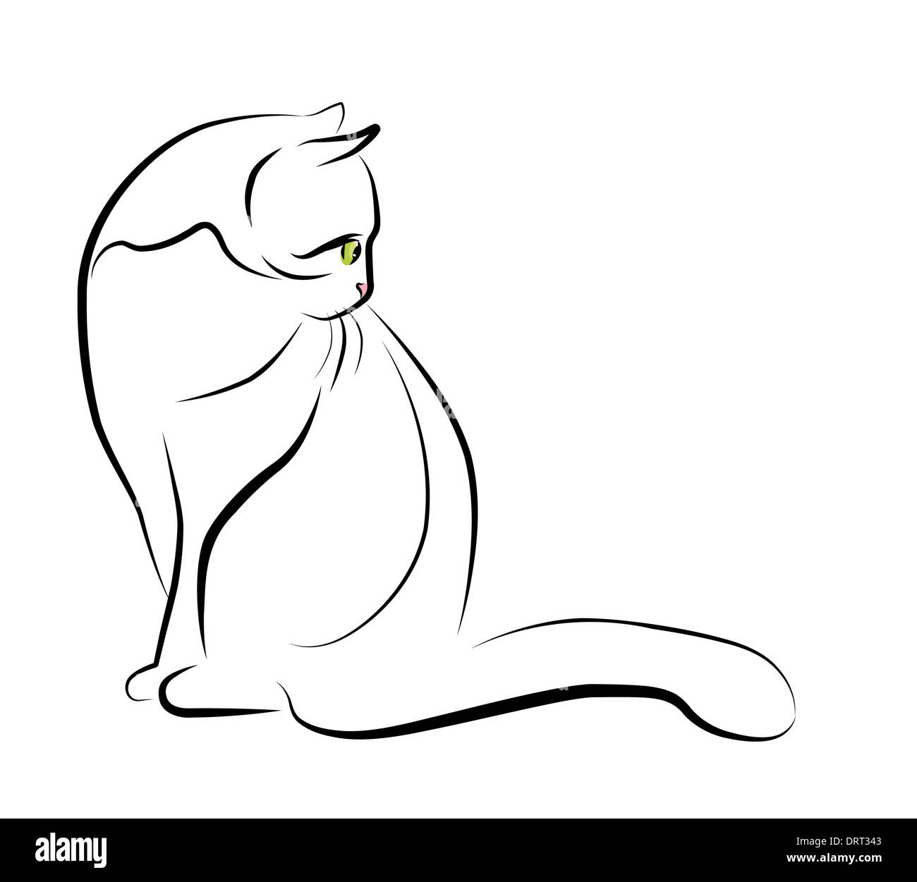 Siamese Cat Sitting For Drawing Pages On A White Background Outline Sketch  Vector Realistic Cat Drawing Realistic Cat Outline Realistic Cat Sketch  PNG and Vector with Transparent Background for Free Download