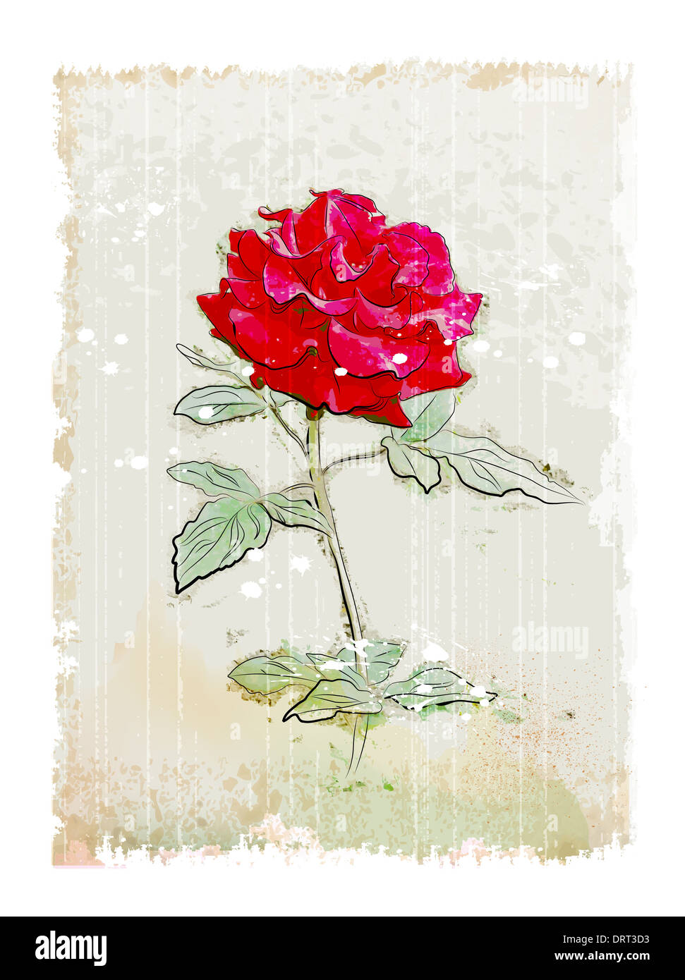 vintage red rose Stock Photo