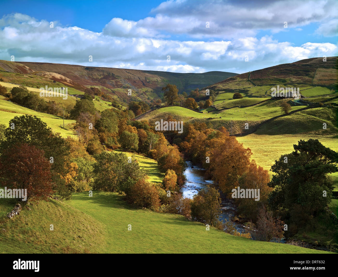 An autumn view of Swaledale, North Yorkshire, UK Stock Photo