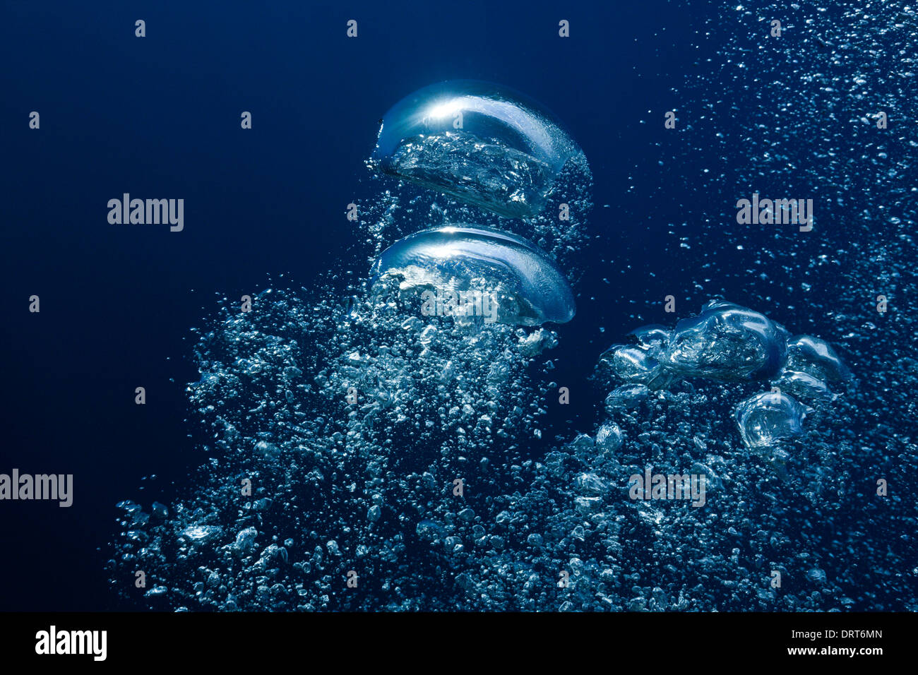 Air Bubbles in Ocean, Guadalupe Island, Mexico Stock Photo